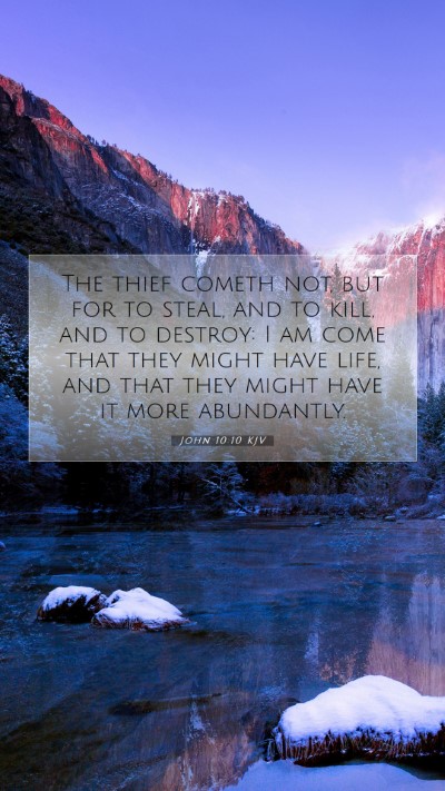 Picture 07 - John 10:10 KJV Mobile Phone Wallpaper - The thief cometh not, but for to steal, and to - Mobile Bible Verse Wallpaper