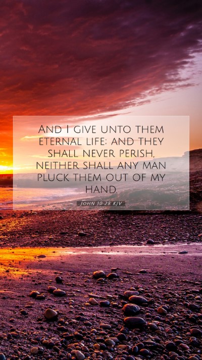 Picture 07 - John 10:28 KJV Mobile Phone Wallpaper - And I give unto them eternal life; and they shall - Mobile Bible Verse Wallpaper