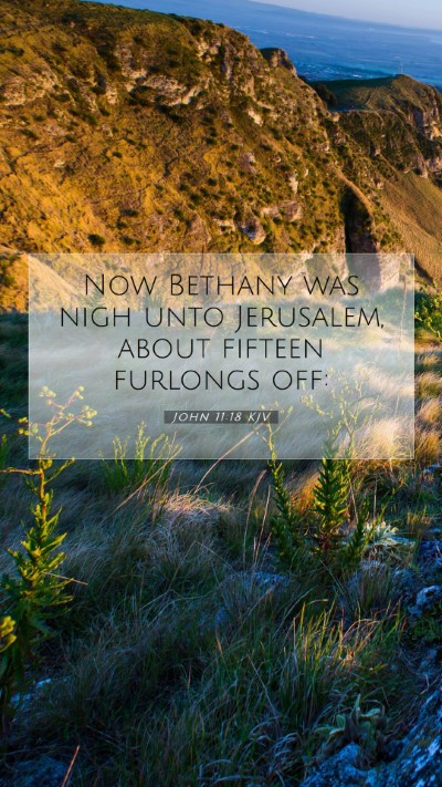 Picture 07 - John 11:18 KJV Mobile Phone Wallpaper - Now Bethany was nigh unto Jerusalem, about - Mobile Bible Verse Wallpaper