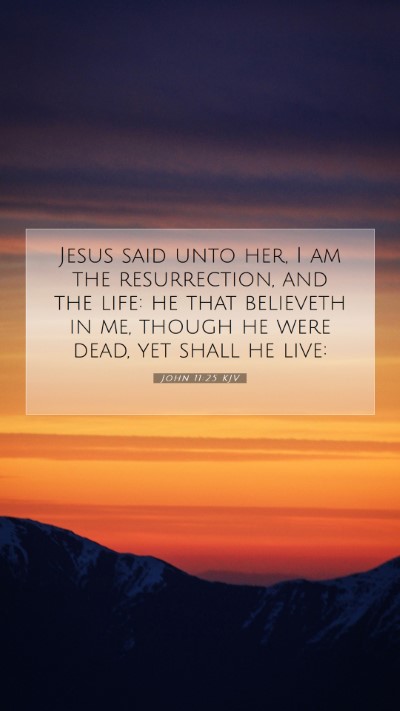 Picture 07 - John 11:25 KJV Mobile Phone Wallpaper - Jesus said unto her, I am the resurrection, and - Mobile Bible Verse Wallpaper