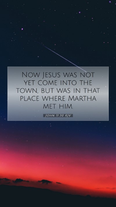 Picture 07 - John 11:30 KJV Mobile Phone Wallpaper - Now Jesus was not yet come into the town, but was - Mobile Bible Verse Wallpaper