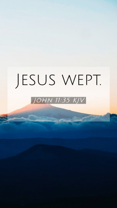 Picture 07 - John 11:35 KJV Mobile Phone Wallpaper - Jesus - Mobile Bible Verse Wallpaper