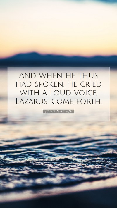 Picture 07 - John 11:43 KJV Mobile Phone Wallpaper - And when he thus had spoken, he cried with a loud - Mobile Bible Verse Wallpaper