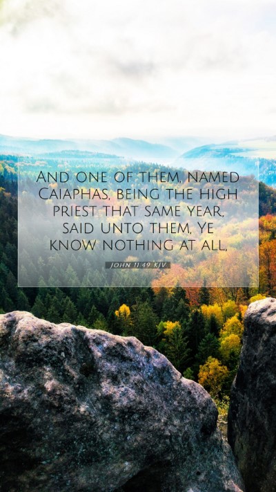 Picture 07 - John 11:49 KJV Mobile Phone Wallpaper - And one of them, named Caiaphas, being the high - Mobile Bible Verse Wallpaper
