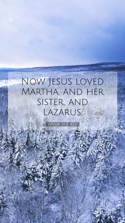 Picture 07 - John 11:5 KJV Mobile Phone Wallpaper - Now Jesus loved Martha, and her sister, and - Mobile Bible Verse Wallpaper