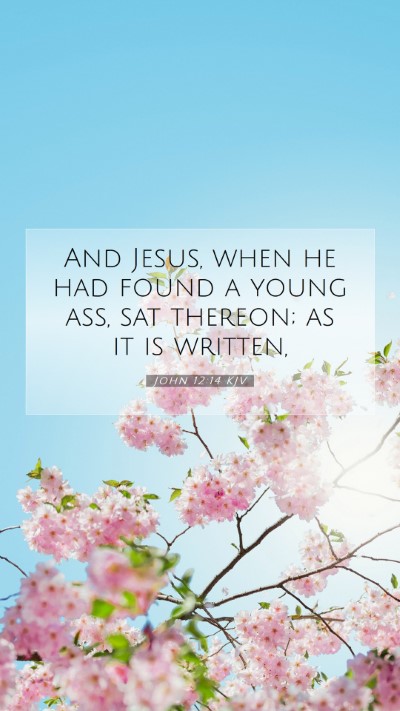 Picture 07 - John 12:14 KJV Mobile Phone Wallpaper - And Jesus, when he had found a young ass, sat - Mobile Bible Verse Wallpaper