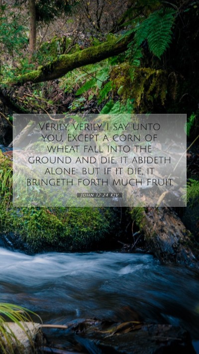 Picture 07 - John 12:24 KJV Mobile Phone Wallpaper - Verily, verily, I say unto you, Except a corn of - Mobile Bible Verse Wallpaper