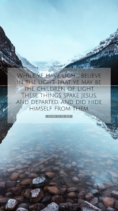 Picture 07 - John 12:36 KJV Mobile Phone Wallpaper - While ye have light, believe in the light, that - Mobile Bible Verse Wallpaper