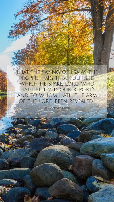 Picture 07 - John 12:38 KJV Mobile Phone Wallpaper - That the saying of Esaias the prophet might be - Mobile Bible Verse Wallpaper