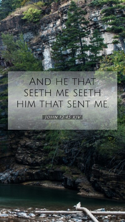 Picture 07 - John 12:45 KJV Mobile Phone Wallpaper - And he that seeth me seeth him that sent - Mobile Bible Verse Wallpaper