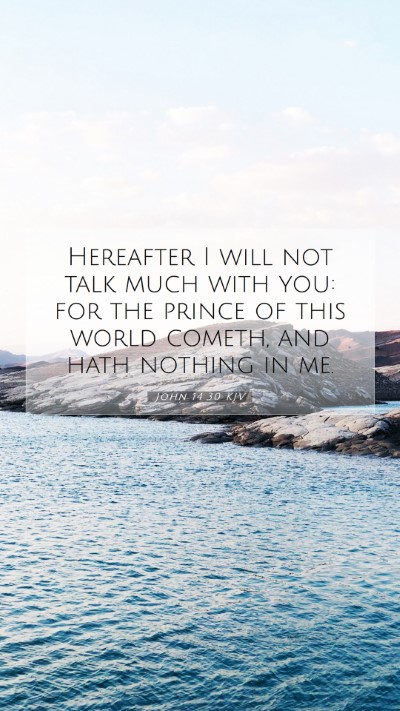 Picture 07 - John 14:30 KJV Mobile Phone Wallpaper - Hereafter I will not talk much with you: for the - Mobile Bible Verse Wallpaper