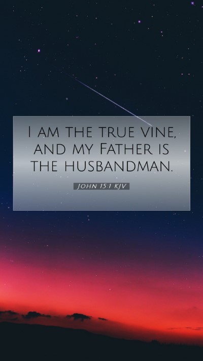 Picture 07 - John 15:1 KJV Mobile Phone Wallpaper - I am the true vine, and my Father is the - Mobile Bible Verse Wallpaper