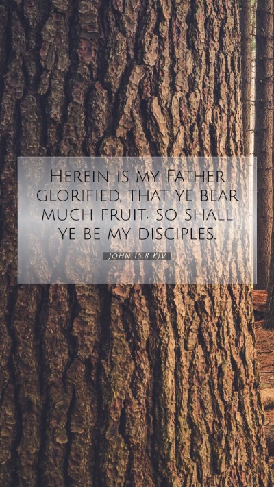 Picture 07 - John 15:8 KJV Mobile Phone Wallpaper - Herein is my Father glorified, that ye bear much - Mobile Bible Verse Wallpaper