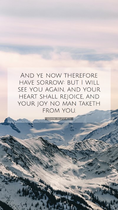 Picture 07 - John 16:22 KJV Mobile Phone Wallpaper - And ye now therefore have sorrow: but I will see - Mobile Bible Verse Wallpaper