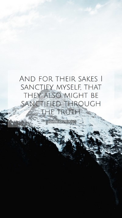 Picture 07 - John 17:19 KJV Mobile Phone Wallpaper - And for their sakes I sanctify myself, that they - Mobile Bible Verse Wallpaper