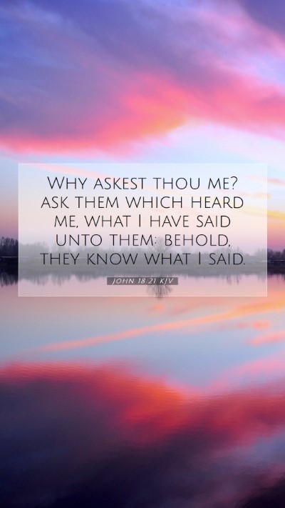 Picture 07 - John 18:21 KJV Mobile Phone Wallpaper - Why askest thou me? ask them which heard me, what - Mobile Bible Verse Wallpaper