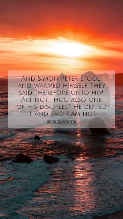 Picture 07 - John 18:25 KJV Mobile Phone Wallpaper - And Simon Peter stood and warmed himself. They - Mobile Bible Verse Wallpaper