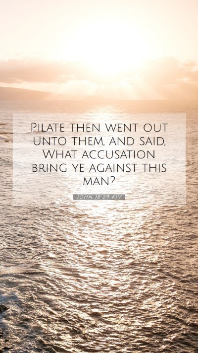Picture 07 - John 18:29 KJV Mobile Phone Wallpaper - Pilate then went out unto them, and said, What - Mobile Bible Verse Wallpaper