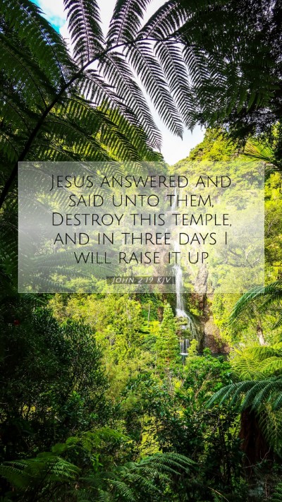 Picture 07 - John 2:19 KJV Mobile Phone Wallpaper - Jesus answered and said unto them, Destroy this - Mobile Bible Verse Wallpaper