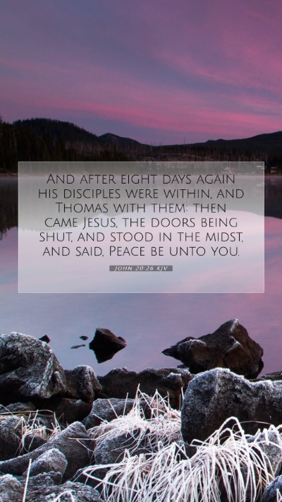 Picture 07 - John 20:26 KJV Mobile Phone Wallpaper - And after eight days again his disciples were - Mobile Bible Verse Wallpaper
