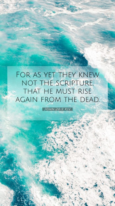 Picture 07 - John 20:9 KJV Mobile Phone Wallpaper - For as yet they knew not the scripture, that he - Mobile Bible Verse Wallpaper