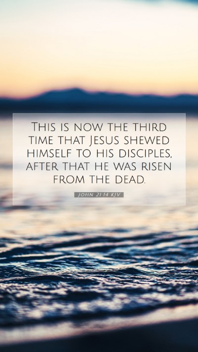 Picture 07 - John 21:14 KJV Mobile Phone Wallpaper - This is now the third time that Jesus shewed - Mobile Bible Verse Wallpaper