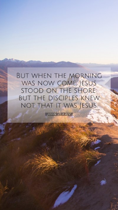 Picture 07 - John 21:4 KJV Mobile Phone Wallpaper - But when the morning was now come, Jesus stood on - Mobile Bible Verse Wallpaper
