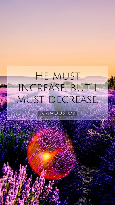 Picture 07 - John 3:30 KJV Mobile Phone Wallpaper - He must increase, but I must - Mobile Bible Verse Wallpaper