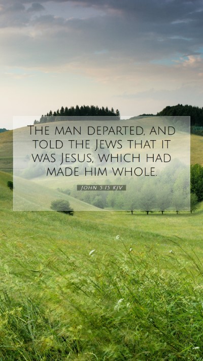 Picture 07 - John 5:15 KJV Mobile Phone Wallpaper - The man departed, and told the Jews that it was - Mobile Bible Verse Wallpaper