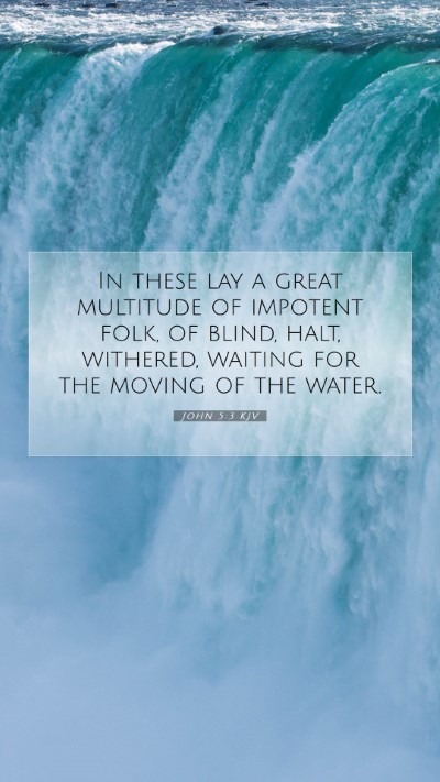 Picture 07 - John 5:3 KJV Mobile Phone Wallpaper - In these lay a great multitude of impotent folk, - Mobile Bible Verse Wallpaper