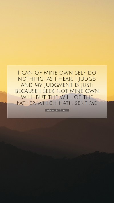 Picture 07 - John 5:30 KJV Mobile Phone Wallpaper - I can of mine own self do nothing: as I hear, I - Mobile Bible Verse Wallpaper