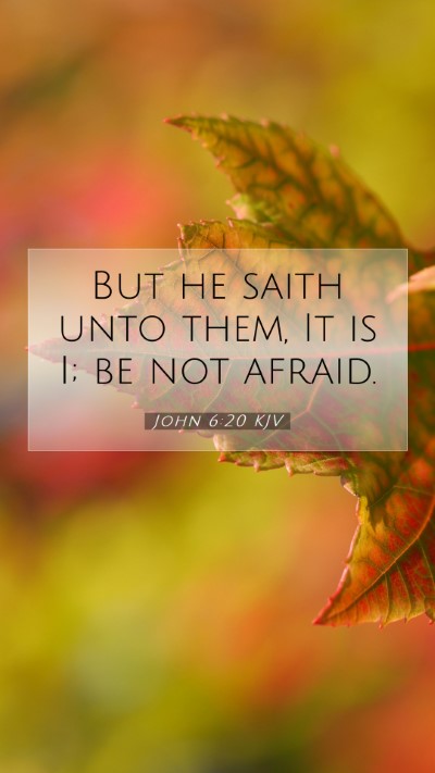 Picture 07 - John 6:20 KJV Mobile Phone Wallpaper - But he saith unto them, It is I; be not - Mobile Bible Verse Wallpaper