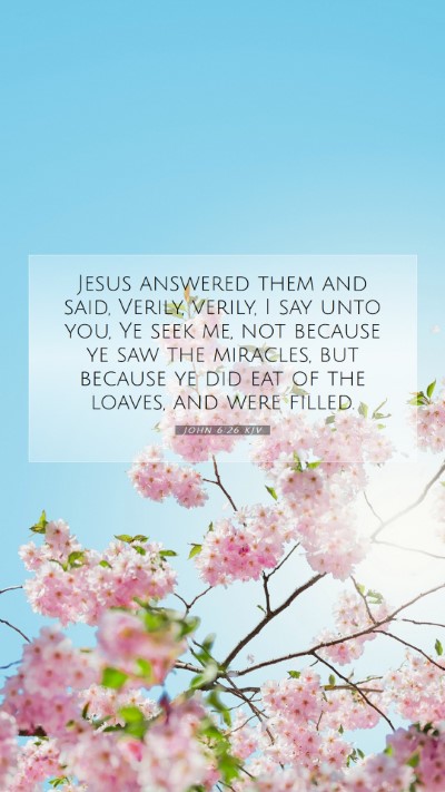 Picture 07 - John 6:26 KJV Mobile Phone Wallpaper - Jesus answered them and said, Verily, verily, I - Mobile Bible Verse Wallpaper