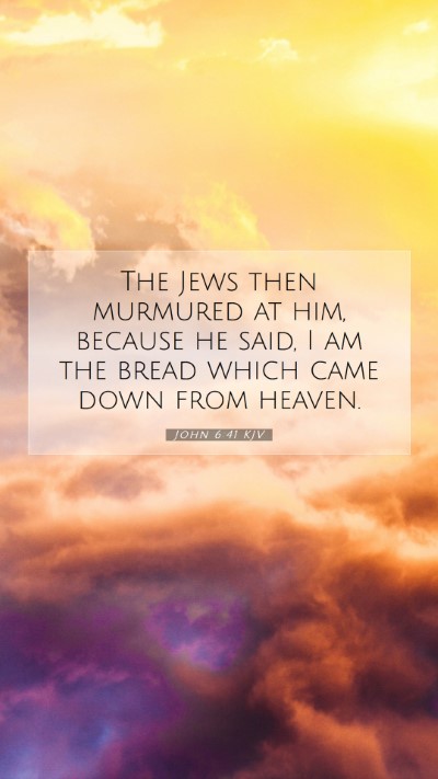 Picture 07 - John 6:41 KJV Mobile Phone Wallpaper - The Jews then murmured at him, because he said, I - Mobile Bible Verse Wallpaper