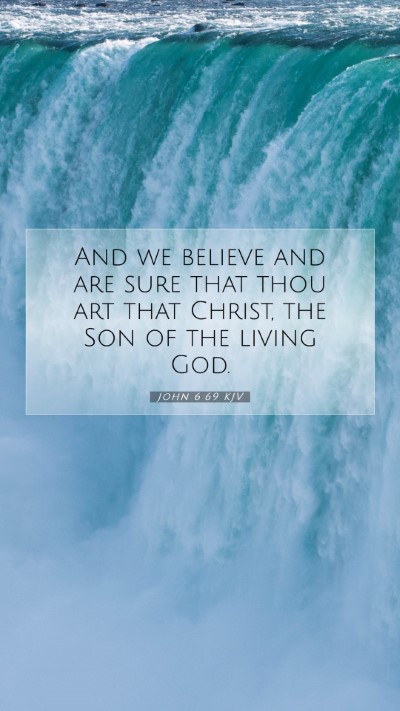 Picture 07 - John 6:69 KJV Mobile Phone Wallpaper - And we believe and are sure that thou art that - Mobile Bible Verse Wallpaper