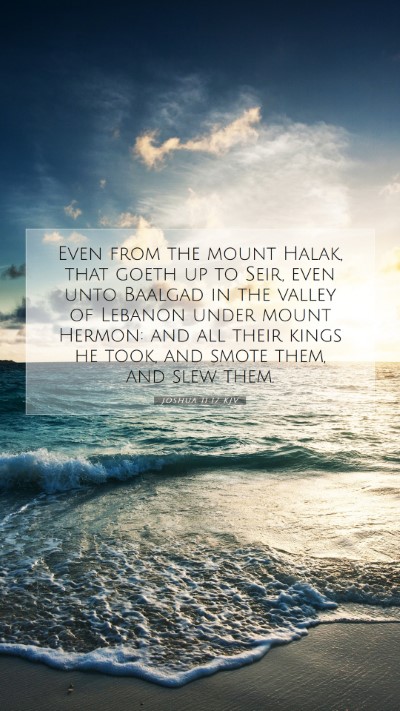 Picture 07 - Joshua 11:17 KJV Mobile Phone Wallpaper - Even from the mount Halak, that goeth up to Seir, - Mobile Bible Verse Wallpaper