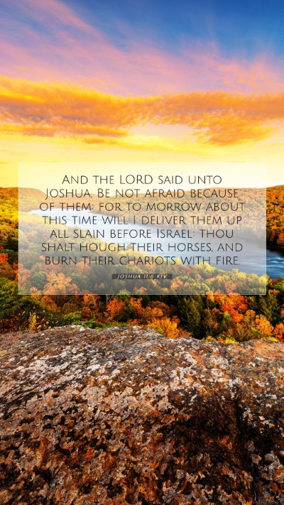 Picture 07 - Joshua 11:6 KJV Mobile Phone Wallpaper - And the LORD said unto Joshua, Be not afraid - Mobile Bible Verse Wallpaper