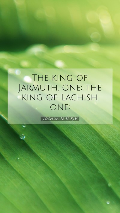 Picture 07 - Joshua 12:11 KJV Mobile Phone Wallpaper - The king of Jarmuth, one; the king of Lachish, - Mobile Bible Verse Wallpaper