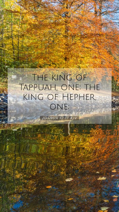 Picture 07 - Joshua 12:17 KJV Mobile Phone Wallpaper - The king of Tappuah, one; the king of Hepher, - Mobile Bible Verse Wallpaper