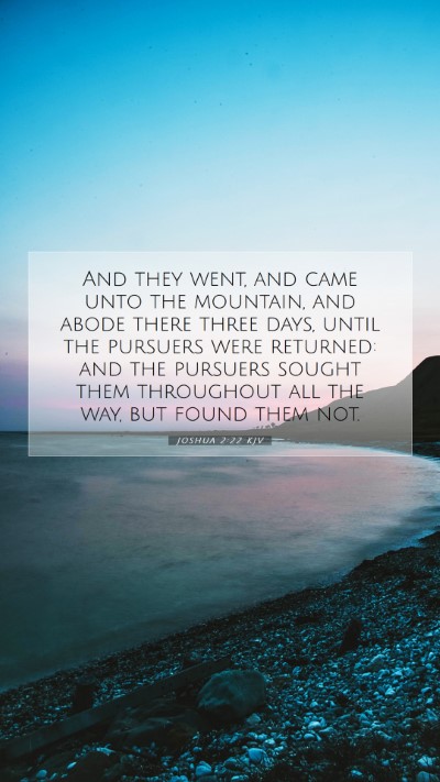 Picture 07 - Joshua 2:22 KJV Mobile Phone Wallpaper - And they went, and came unto the mountain, and - Mobile Bible Verse Wallpaper