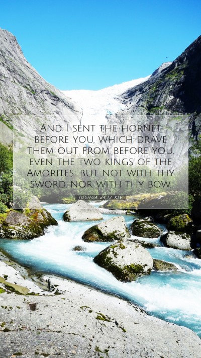Picture 07 - Joshua 24:12 KJV Mobile Phone Wallpaper - And I sent the hornet before you, which drave - Mobile Bible Verse Wallpaper
