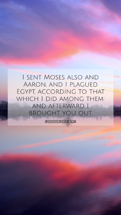 Picture 07 - Joshua 24:5 KJV Mobile Phone Wallpaper - I sent Moses also and Aaron, and I plagued Egypt, - Mobile Bible Verse Wallpaper