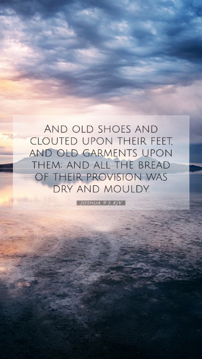Picture 07 - Joshua 9:5 KJV Mobile Phone Wallpaper - And old shoes and clouted upon their feet, and - Mobile Bible Verse Wallpaper