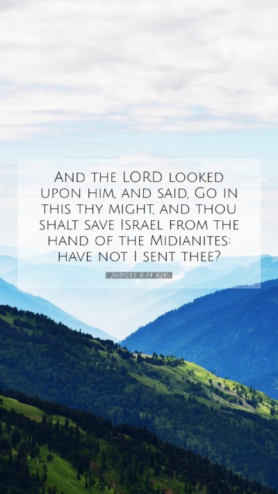 Picture 07 - Judges 6:14 KJV Mobile Phone Wallpaper - And the LORD looked upon him, and said, Go in - Mobile Bible Verse Wallpaper
