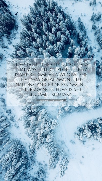 Picture 07 - Lamentations 1:1 KJV Mobile Phone Wallpaper - How doth the city sit solitary, that was full of - Mobile Bible Verse Wallpaper