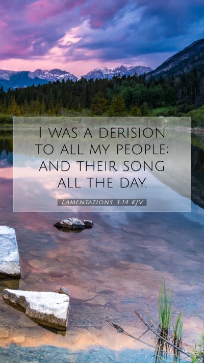 Picture 07 - Lamentations 3:14 KJV Mobile Phone Wallpaper - I was a derision to all my people; and their song - Mobile Bible Verse Wallpaper