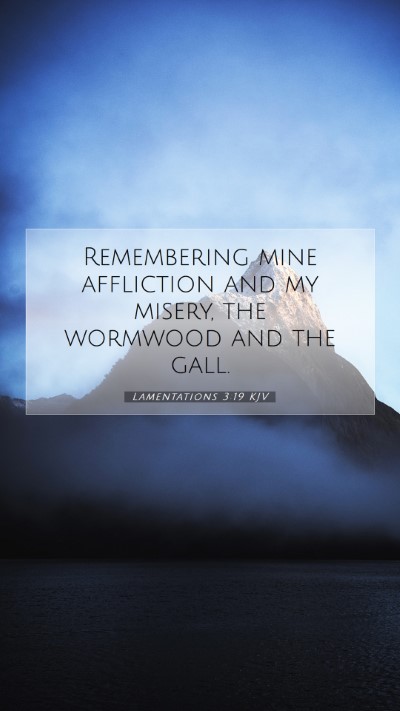 Picture 07 - Lamentations 3:19 KJV Mobile Phone Wallpaper - Remembering mine affliction and my misery, the - Mobile Bible Verse Wallpaper