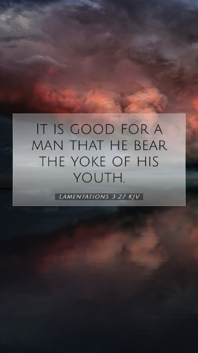 Picture 07 - Lamentations 3:27 KJV Mobile Phone Wallpaper - It is good for a man that he bear the yoke of his - Mobile Bible Verse Wallpaper