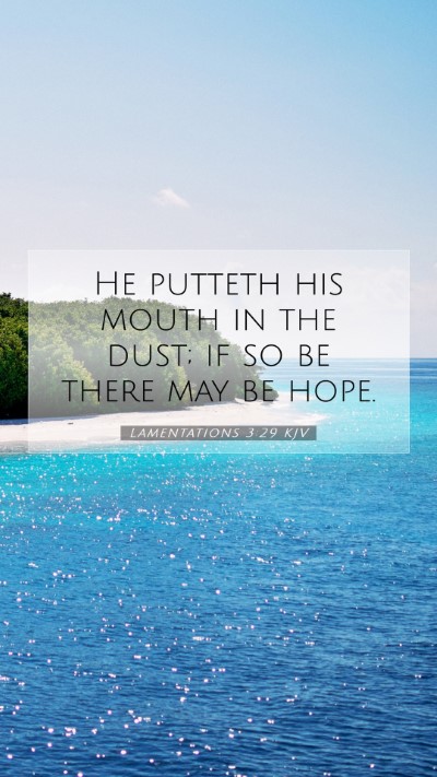 Picture 07 - Lamentations 3:29 KJV Mobile Phone Wallpaper - He putteth his mouth in the dust; if so be there - Mobile Bible Verse Wallpaper