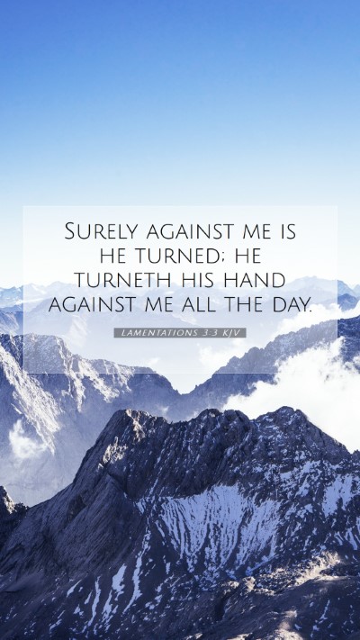 Picture 07 - Lamentations 3:3 KJV Mobile Phone Wallpaper - Surely against me is he turned; he turneth his - Mobile Bible Verse Wallpaper